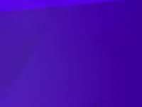 The most curious stay, others pass by.