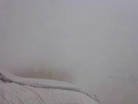 asweet girl with big tits who loves to cum and talk dirty
