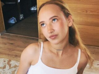 free video chat room VeniceMidden